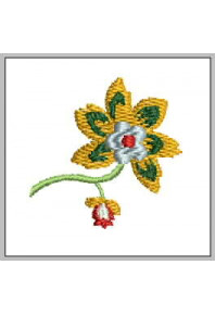 Plf022 - Star Jacobean flower